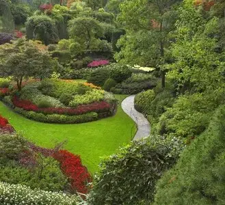 Tala y poda en Altura de árboles en Sevilla y municipios Tala y poda en Altura de árboles en Sevilla y municipios