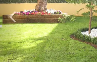 Tala y poda en Altura de árboles en Sevilla y municipios Tala y poda en Altura de árboles en Sevilla y municipios