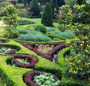 Tala y poda en Altura de árboles en Sevilla y municipios Tala y poda en Altura de árboles en Sevilla y municipios